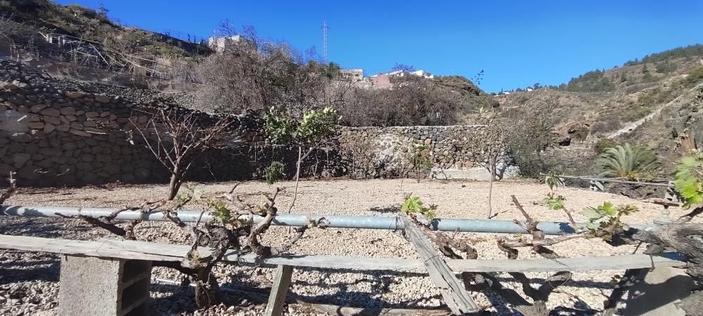 Imagen 1 de Terreno rústico en Granadilla con acceso rodado