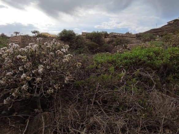 Imagen 1 de Solar urbano en Venta en Fasnia Santa Cruz de Tenerife