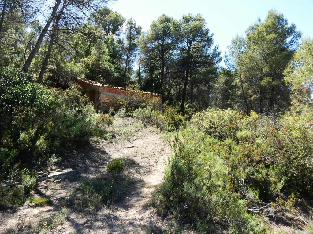 Imagen 4 de Suelo rústico en Venta en Arens De Lledo Teruel