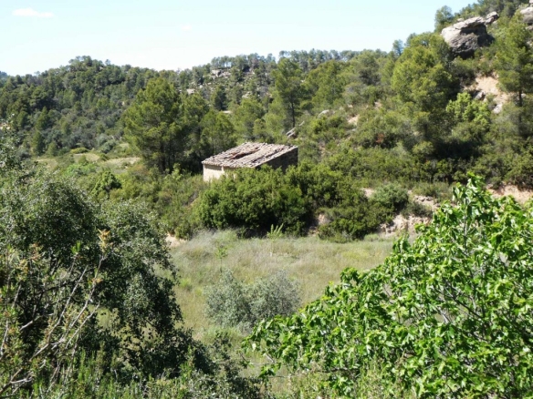 Imagen 1 de Suelo rústico en Venta en Arens De Lledo Teruel