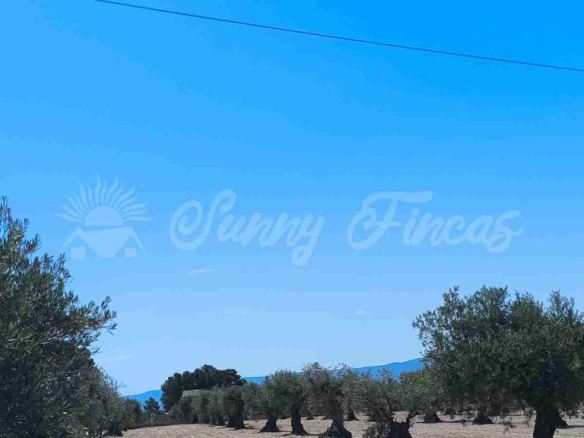 Imagen 2 de Suelo urbanizable en Venta en Yecla Murcia