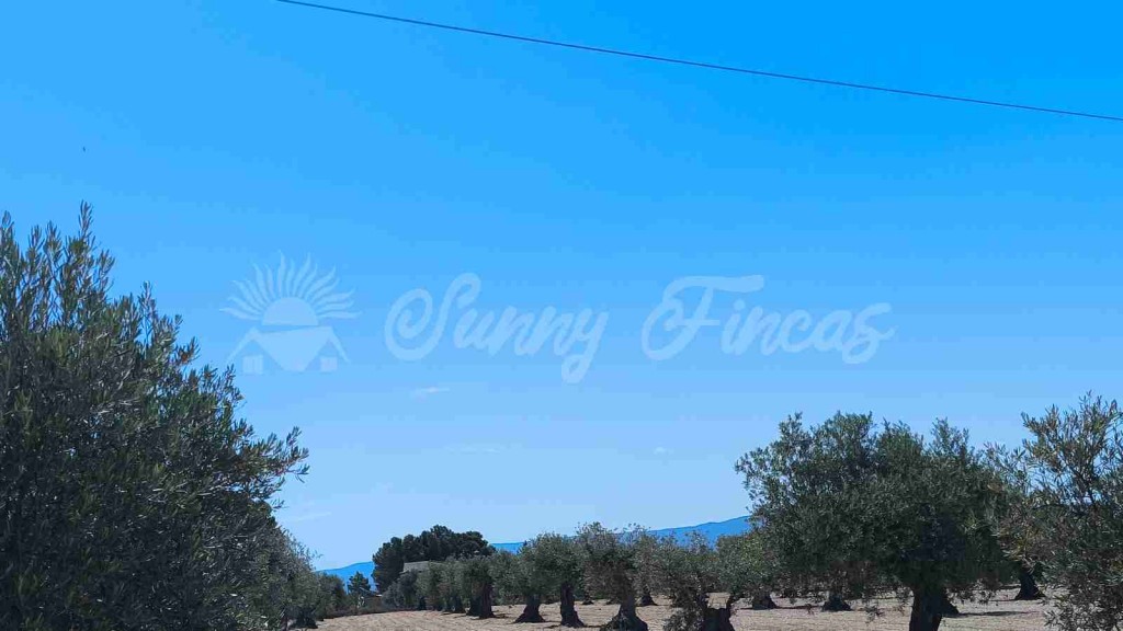 Imagen 2 de Suelo urbanizable en Venta en Yecla Murcia