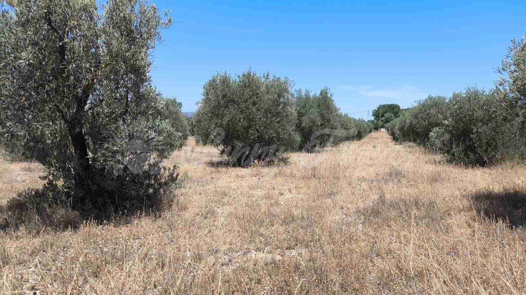 Imagen 4 de Suelo urbanizable en Venta en Yecla Murcia