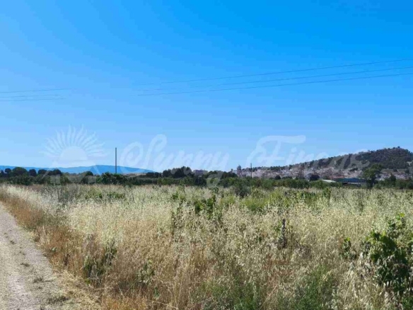 Imagen 2 de Suelo urbanizable en Venta en Yecla Murcia