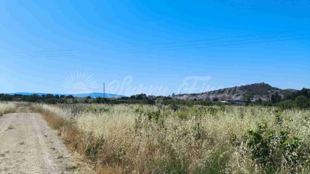 Imagen 2 de Suelo urbanizable en Venta en Yecla Murcia
