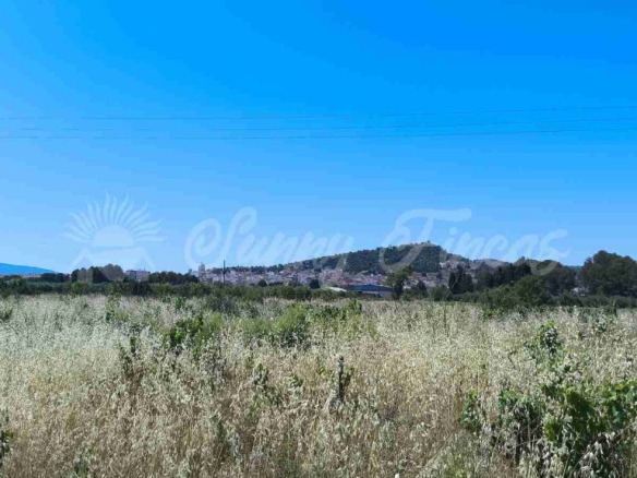 Imagen 3 de Suelo urbanizable en Venta en Yecla Murcia