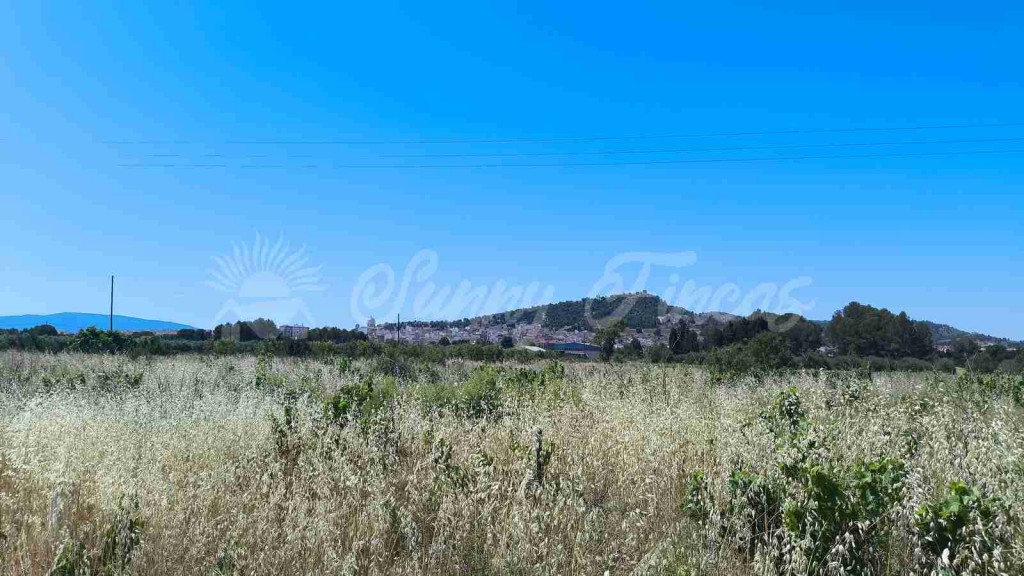 Imagen 3 de Suelo urbanizable en Venta en Yecla Murcia