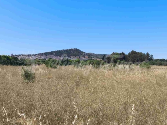 Imagen 4 de Suelo urbanizable en Venta en Yecla Murcia
