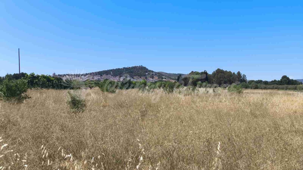 Imagen 4 de Suelo urbanizable en Venta en Yecla Murcia