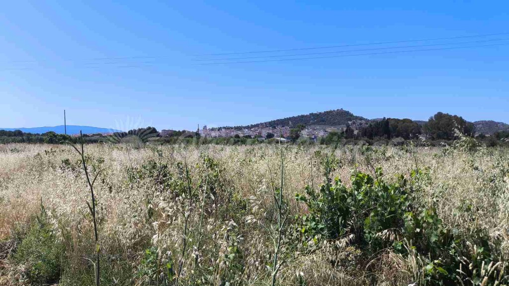 Imagen 1 de Suelo urbanizable en Venta en Yecla Murcia