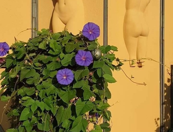 Imagen 4 de Una obra arquitectónica de autor en el Empordà. Una pieza única e irrepetible