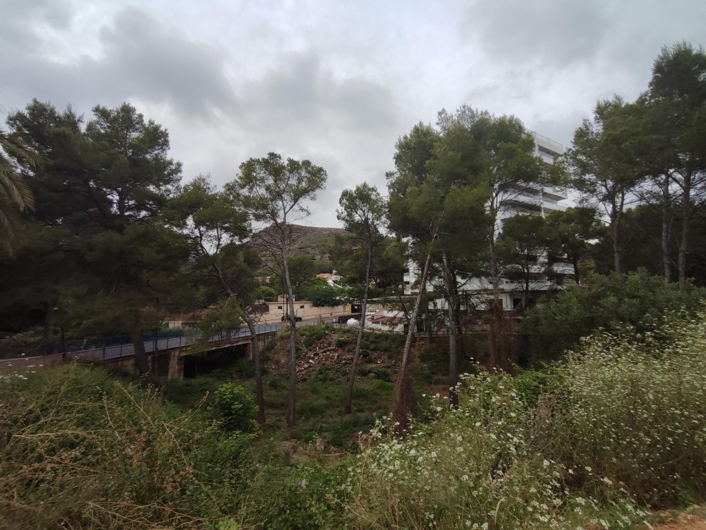 Imagen 4 de terreno en santo espiritu (gilet)