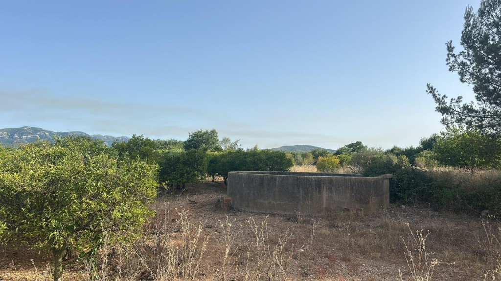Imagen 2 de Finca de regadío plantada de cítrico en Santa Bárbara