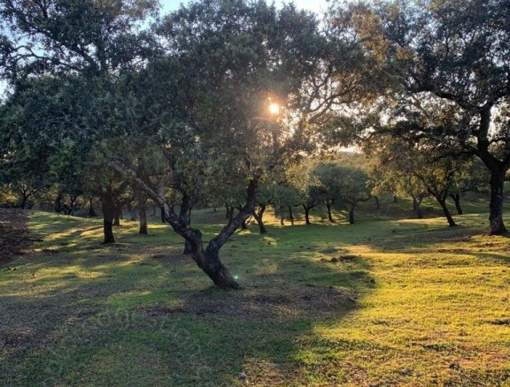 Imagen 3 de Casa-Chalet en Venta en Santa Olalla Del Cala Huelva