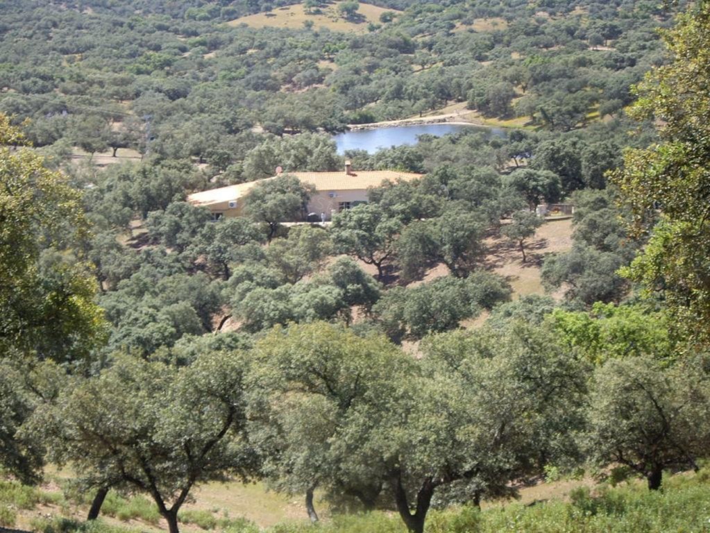 Imagen 1 de Casa-Chalet en Venta en Santa Olalla Del Cala Huelva