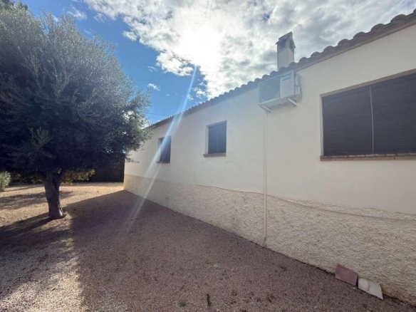 Imagen 2 de Venta de villa en Catral
