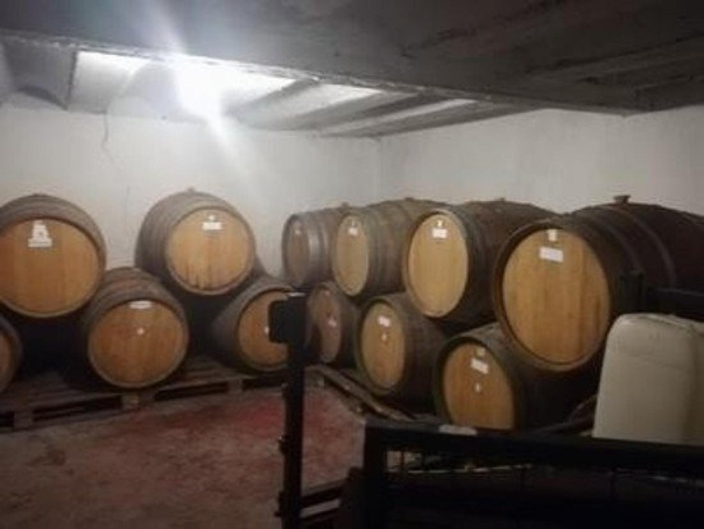 Imagen 4 de FINCA ECOLOGICA PREMIUM CON BODEGA