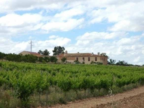 Imagen 1 de FINCA ECOLOGICA PREMIUM CON BODEGA