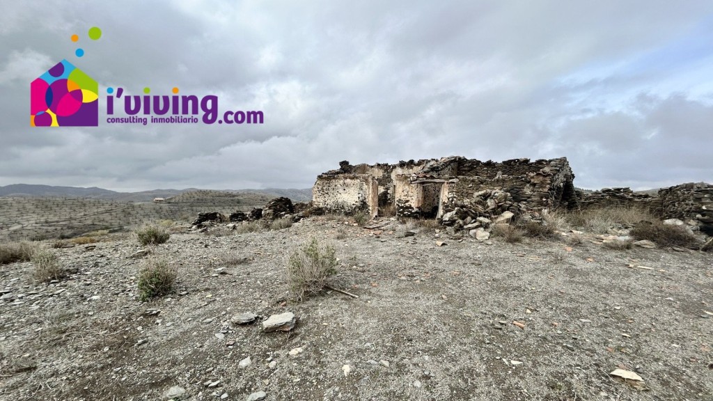 Imagen 4 de Casa de pueblo en Venta en Vélez Rubio Almería