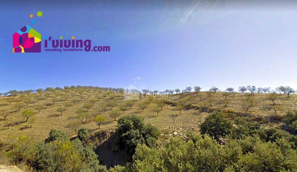 Imagen 2 de Casa de campo-Masía en Venta en Huercal-Overa Almería