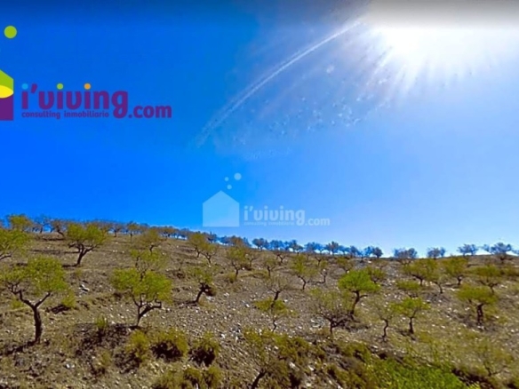 Imagen 1 de Casa de campo-Masía en Venta en Huercal-Overa Almería