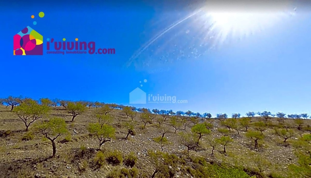 Imagen 1 de Casa de campo-Masía en Venta en Huercal-Overa Almería