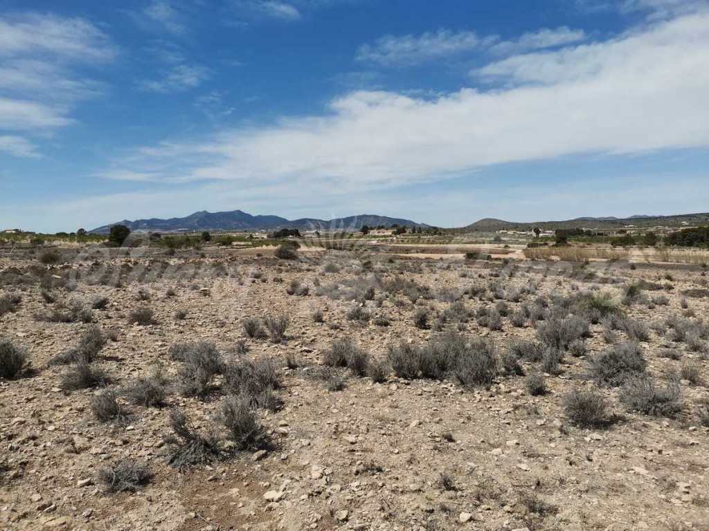 Imagen 4 de Suelo urbanizable en Venta en Pinoso Alicante