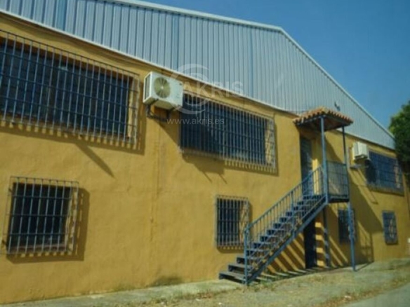Imagen 1 de Nave Industrial en Mazarambroz