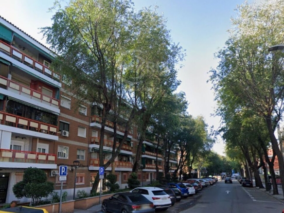 Imagen 1 de Piso en Pinto