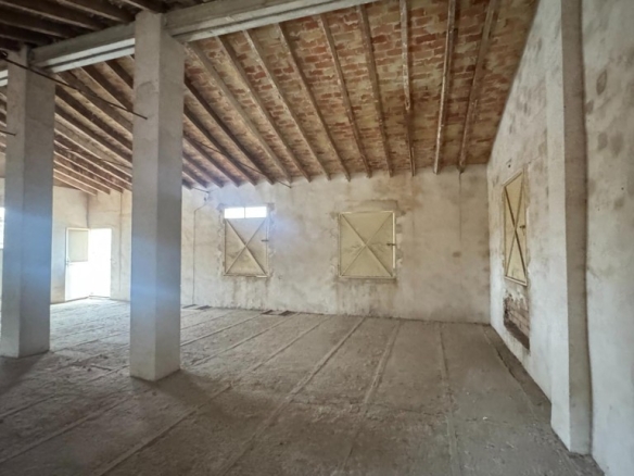 Imagen 4 de ?TERRENO URBANIZABLE DE 596 m² CON TRES ALMACENES EN PINOSO – MÚLTIPLES POSIBILIDADES