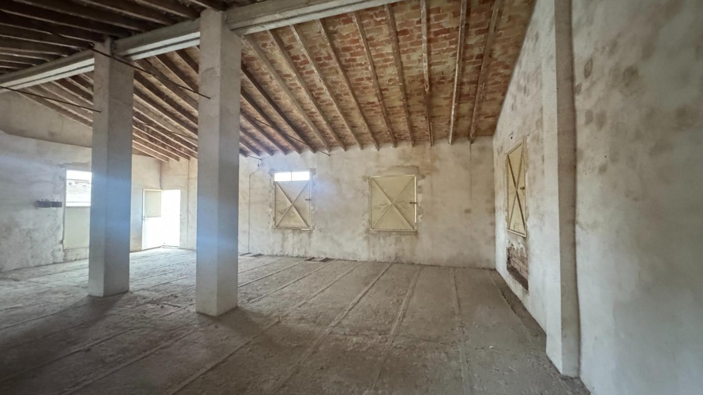 Imagen 4 de ?TERRENO URBANIZABLE DE 596 m² CON TRES ALMACENES EN PINOSO – MÚLTIPLES POSIBILIDADES