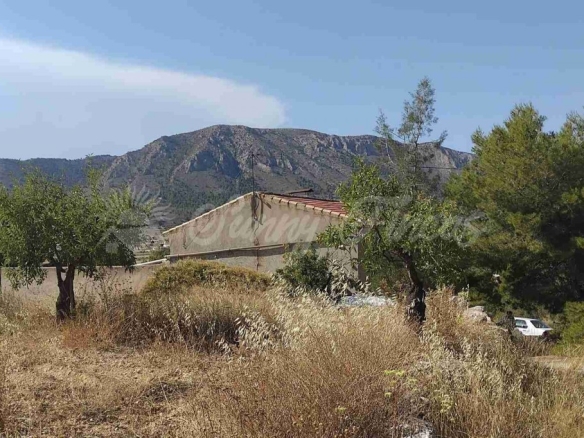La Alicante
