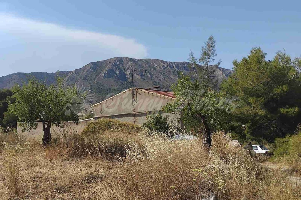 La Alicante