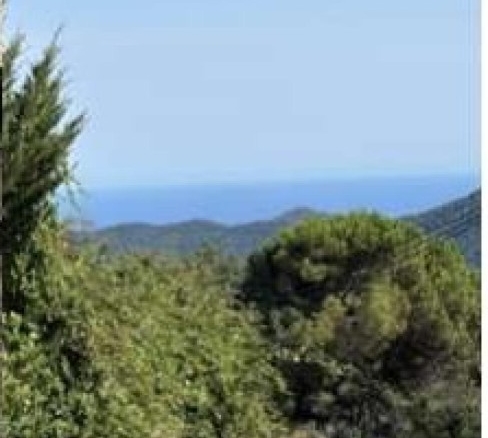 Imagen 2 de Chalet en Tordera