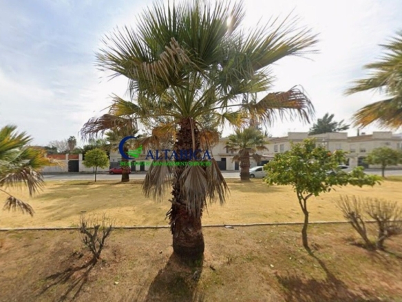 Imagen 3 de Casa-Chalet en Venta en Villanueva Del Ariscal Sevilla