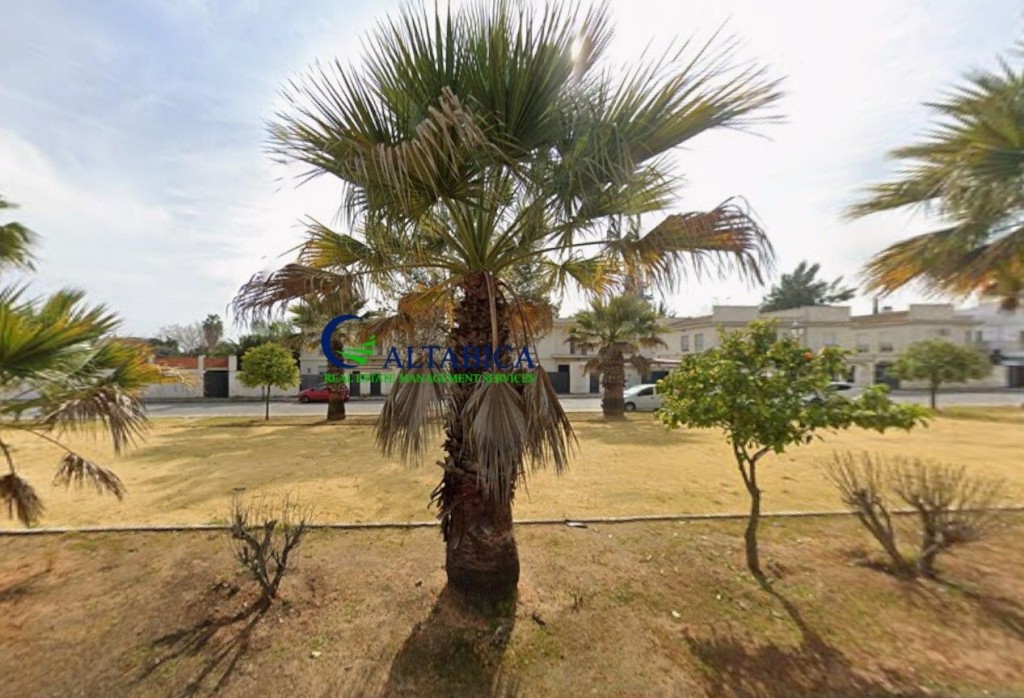 Imagen 3 de Casa-Chalet en Venta en Villanueva Del Ariscal Sevilla