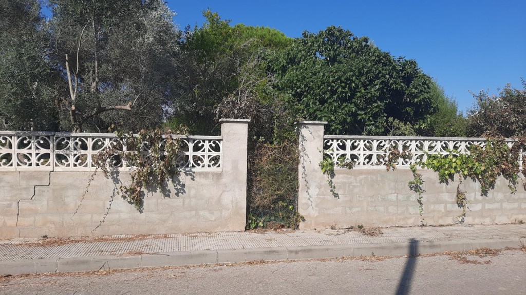 Imagen 4 de Terreno con proyecto y estudios incluidos