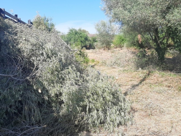 Imagen 1 de Terreno con proyecto y estudios incluidos