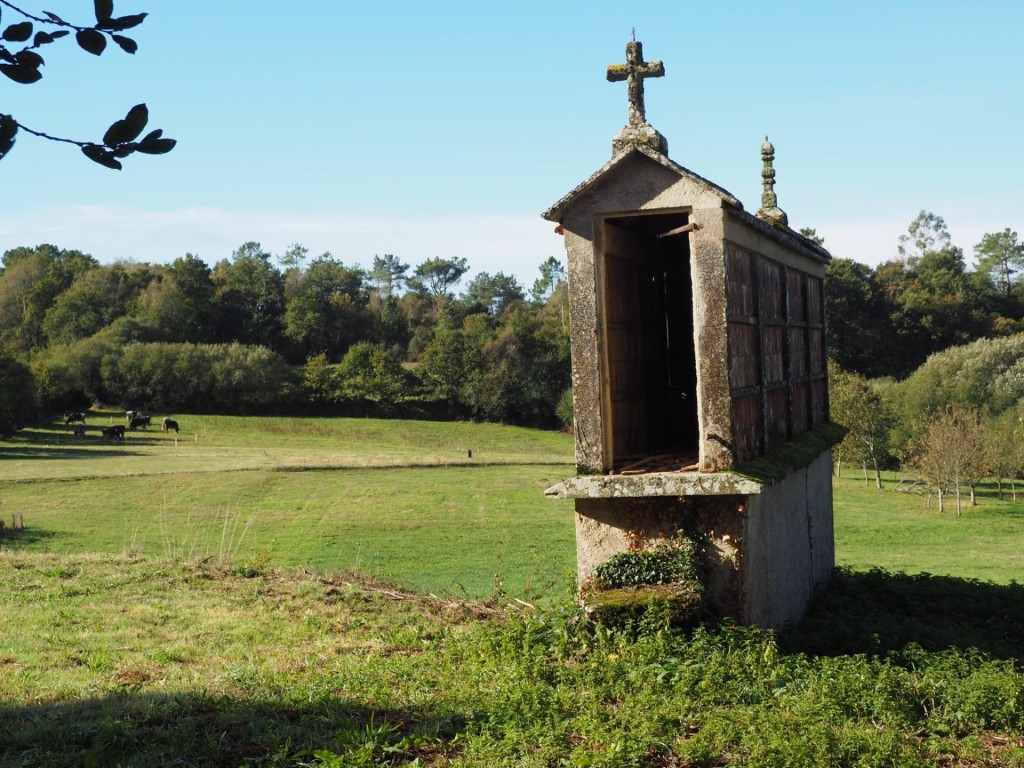 Imagen 4 de Finca histórica gallega con un potencial infinito cerca de Forcarei