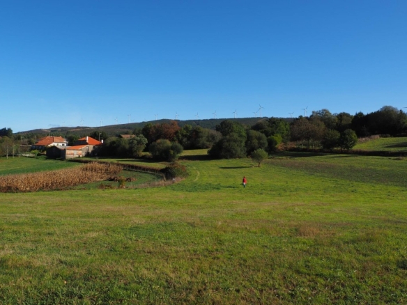 Imagen 1 de Finca histórica gallega con un potencial infinito cerca de Forcarei