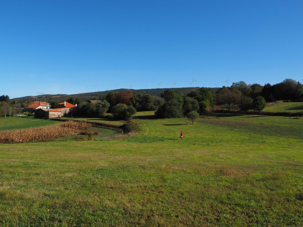 Imagen 1 de Finca histórica gallega con un potencial infinito cerca de Forcarei