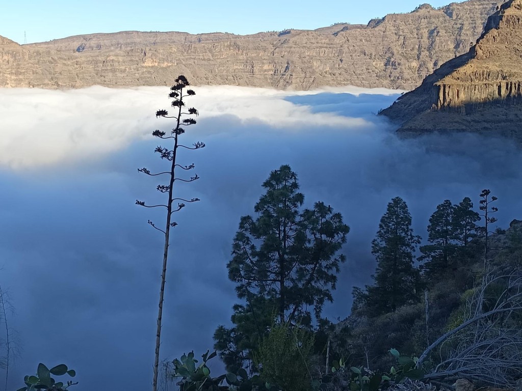 segunda edificación y 17.000 m2 de terreno en Lomo de Pedro Afonso – La Hoya