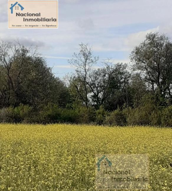 Imagen 2 de Suelo urbanizable en Venta en Santo Tome Del Puerto Segovia