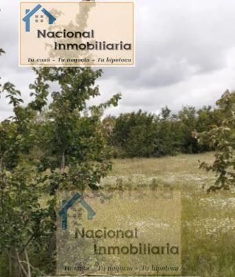 Imagen 3 de Suelo urbanizable en Venta en Santo Tome Del Puerto Segovia