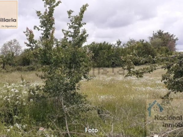 Imagen 1 de Suelo urbanizable en Venta en Santo Tome Del Puerto Segovia