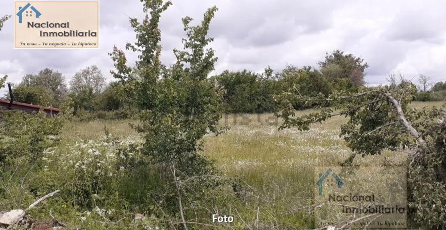 Imagen 1 de Suelo urbanizable en Venta en Santo Tome Del Puerto Segovia