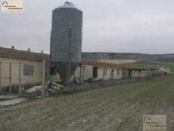 Imagen 2 de Nave industrial en Venta en Vallelado Segovia