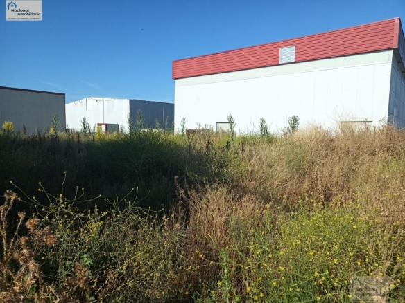 Imagen 4 de Nave industrial en Venta en Olmedo Valladolid