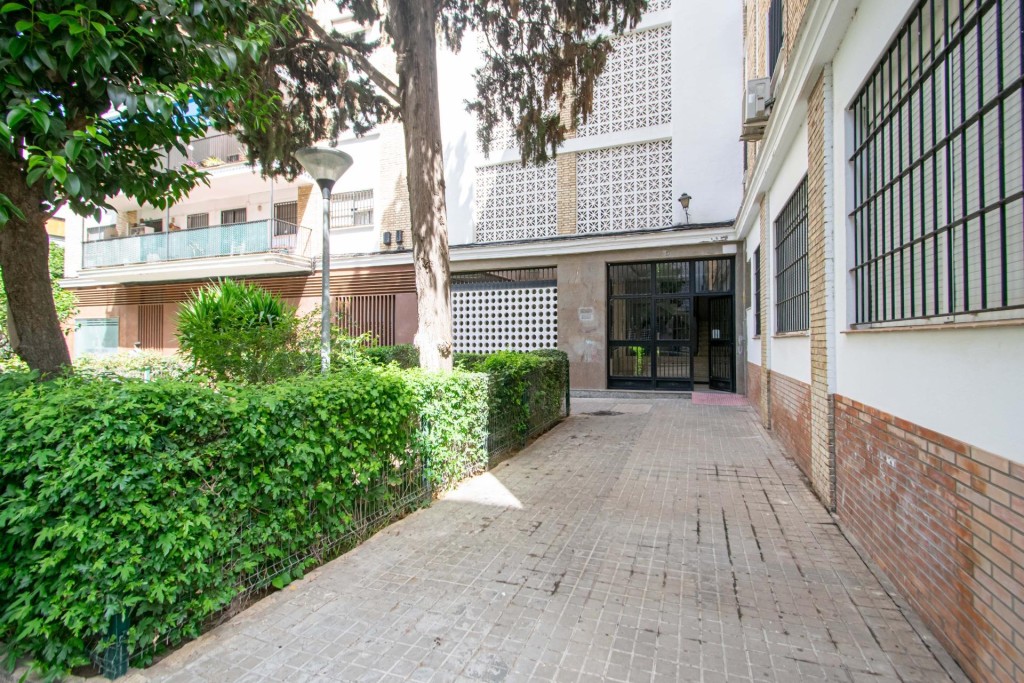 Imagen 2 de Amplia y luminosa vivienda en pleno corazón de Nervión