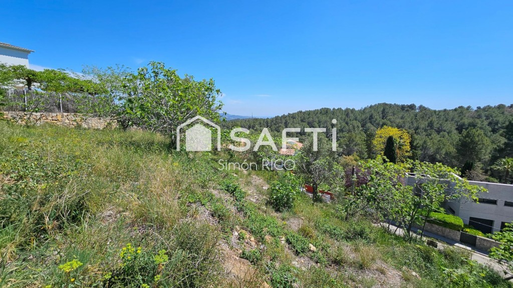 Imagen 4 de GRAN TERRENO RESIDENCIAL SUR LISTO PARA CONSTRUIR en FONTPINEDA